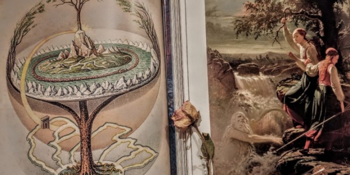 DRVEĆE - poveznica zemaljskih svjetova sa božanskim