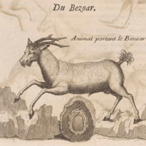 BEZOAR - čudotvorni lijek iscjelitelja, vračeva i čarobnjaka