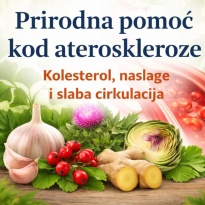 Prirodna biljna podrška kod ateroskleroze, kolesterola i slabe cirkulacije