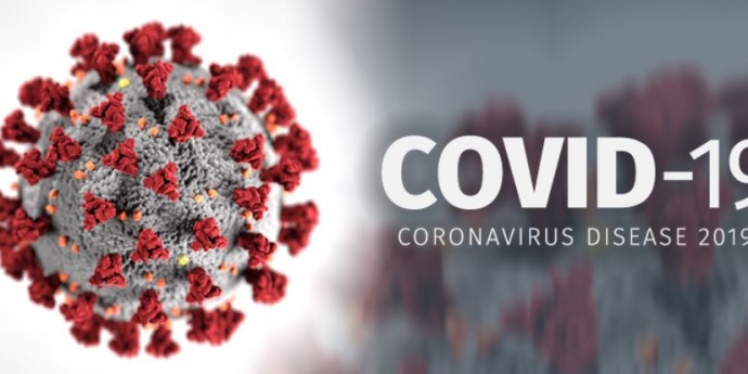 Corona period - analiza plandemije po mjesecima - 1 DIO ( 2020 - 2021 )