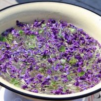 CVJETNICA - posljednja korizmena nedjelja prije Uskrsa