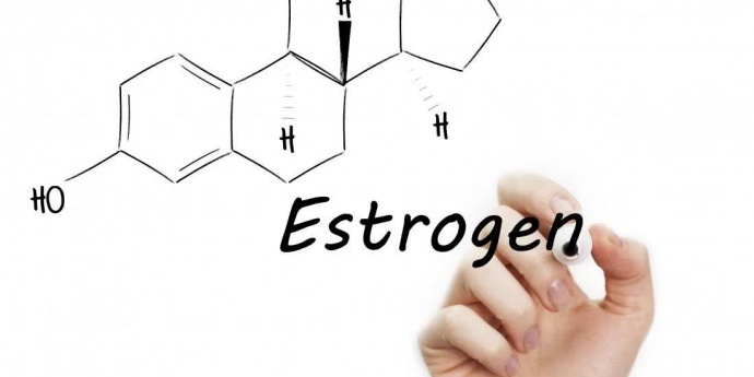 Hormonalna terapija kod žena - višak ili manjak ESTROGENA 