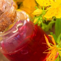 Kantarion ulje - ulje Bogova za sve bolesti