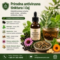 Prirodni Antivirus – Snaga ljekovitog bilja