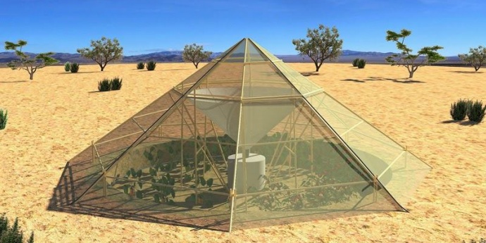 Staklenik koji proizvodi vodu i hranu