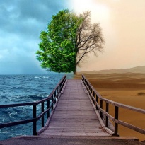 Pronikni u svoje misli 