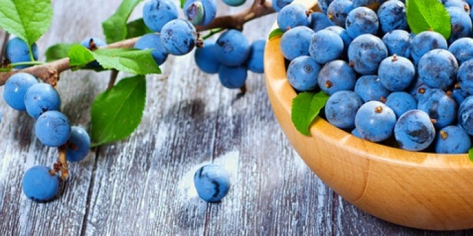 TRNINA - dvostruka korist dok šećete planinama