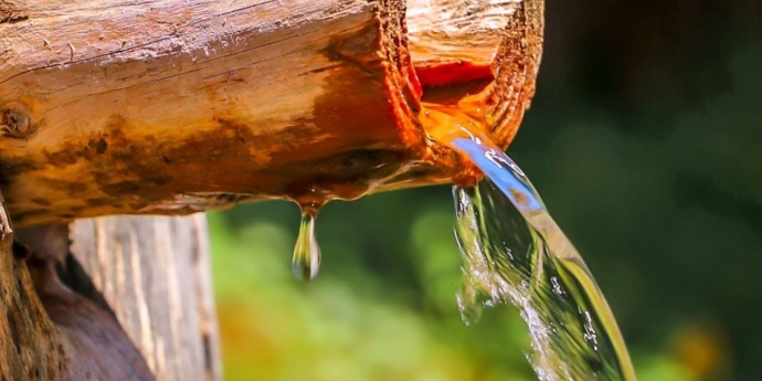 DATUMI U GODINI ZA PRIKUPLJANJE IZNIMNO LJEKOVITE VODE