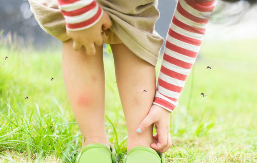 Prirodni repelenti ,Kako se zaštititi od komaraca, krpelja, pčela, osa, zmija ? Prirodni repelenti