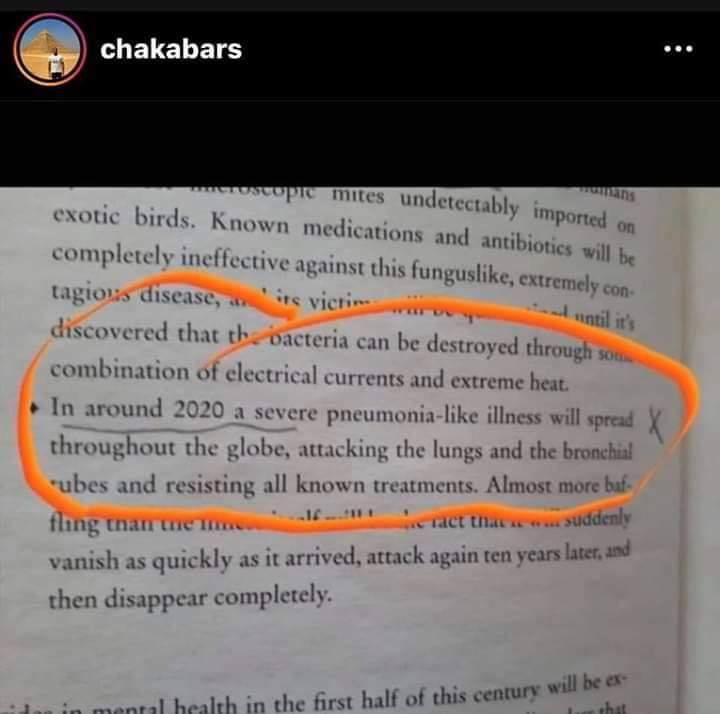 Roman , Knjiga , Covid, Unaprijed se znalo