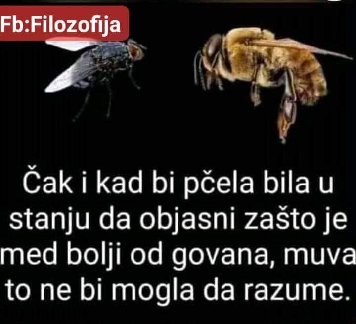 Covid pčela i covid potvrda