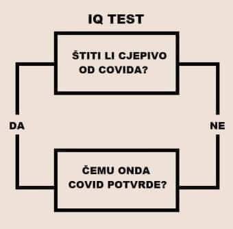IQ TEST covid 