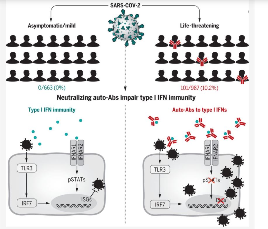 SARS COV 2 Sladoljev 