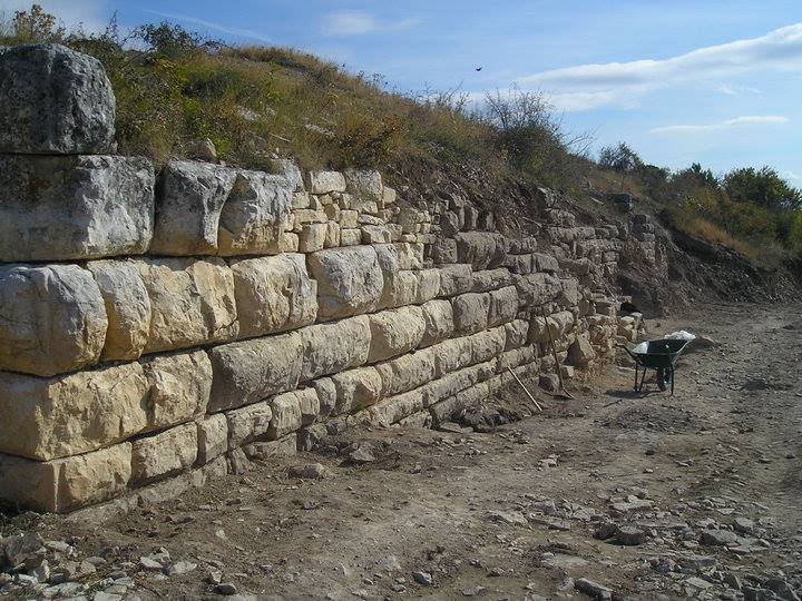 Asseria bedemi