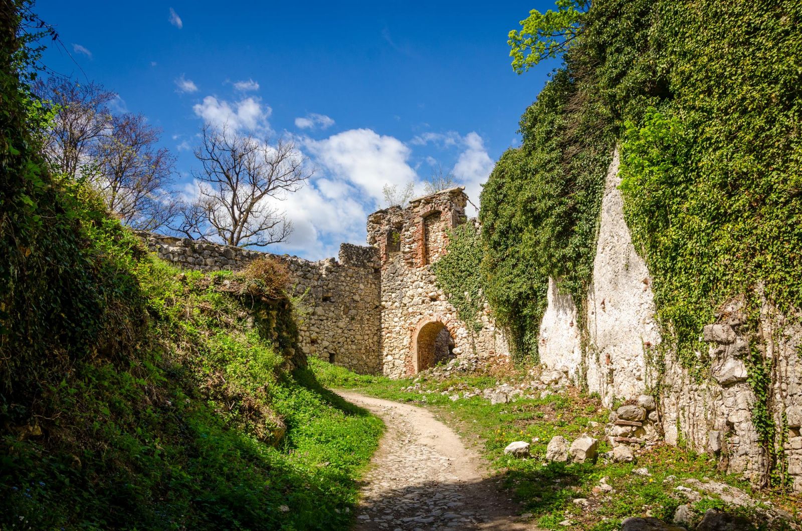Stari grad Samobor