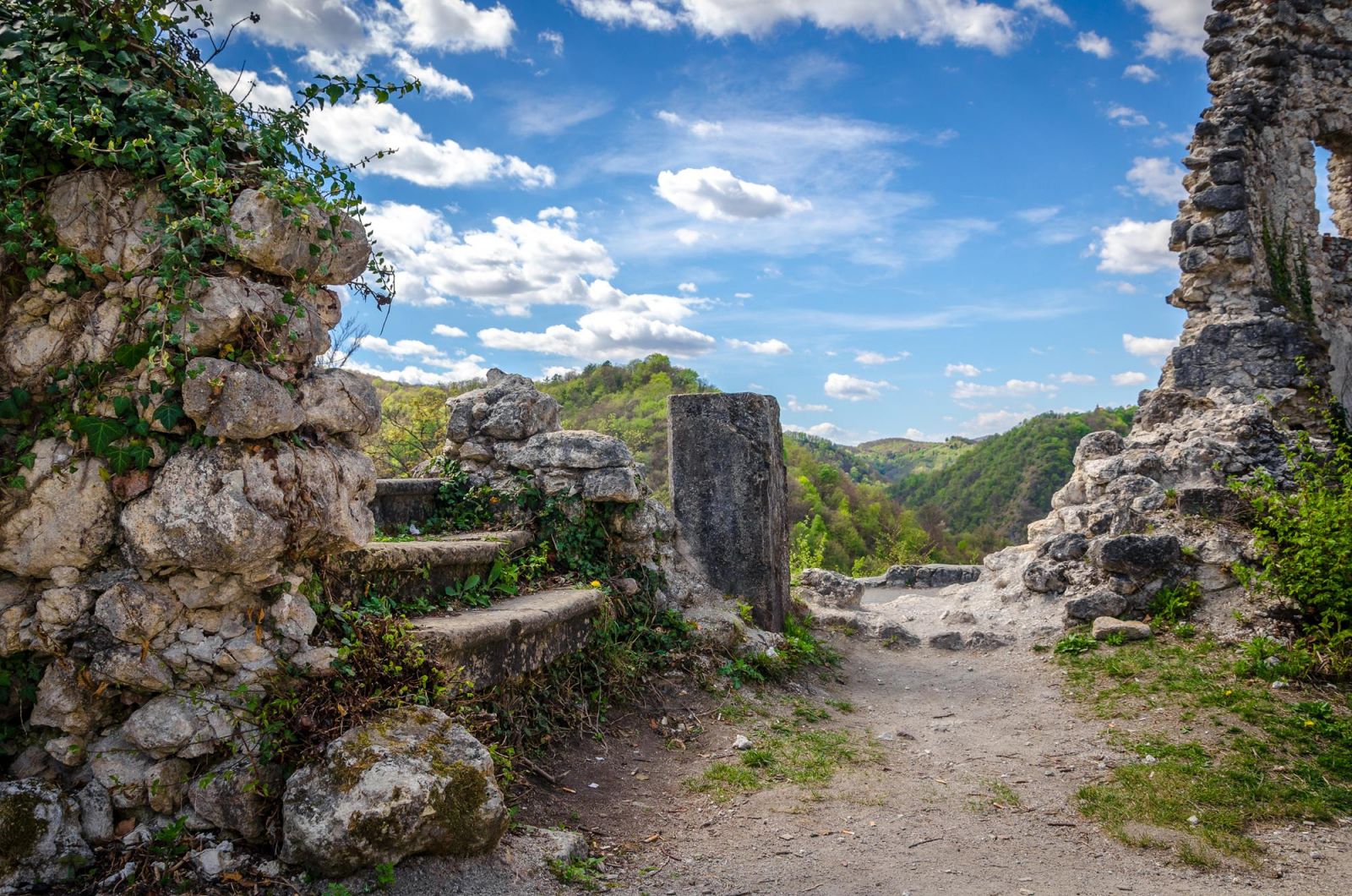 Stari grad Samobor