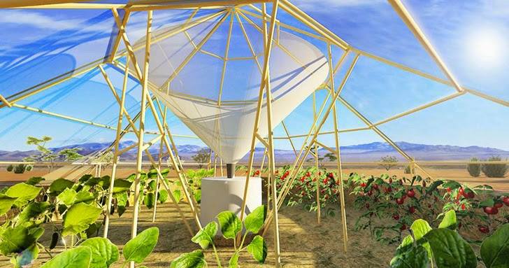 Staklenik koji proizvodi vodu i hranu