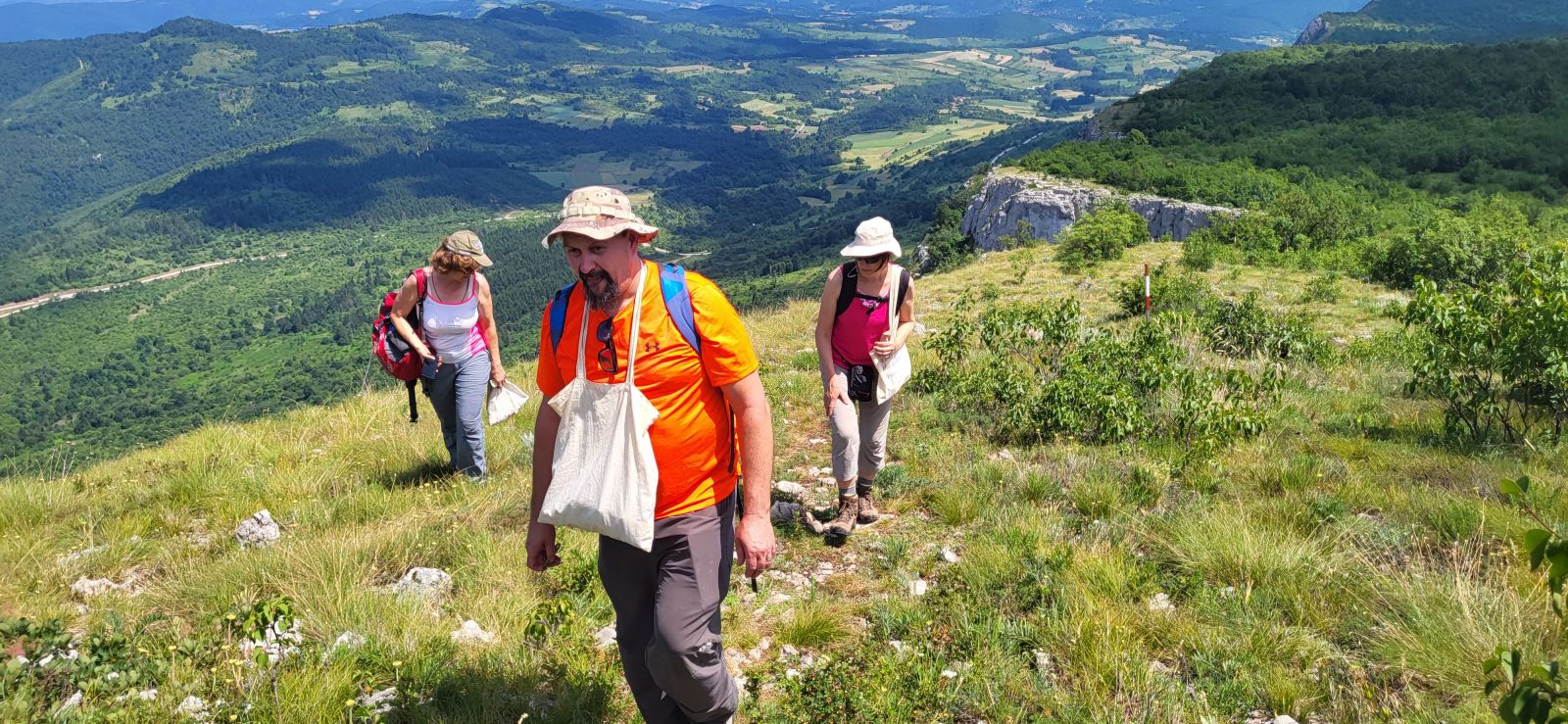 Branje ljekovitog bilja na planini i piramidi Rtanj