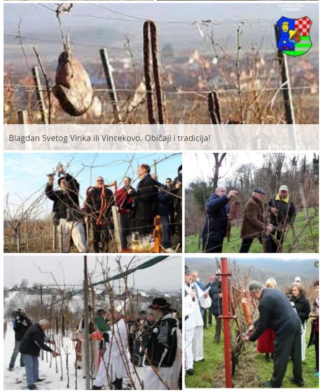 Vincekovo, Sveti Vinko, 22.01.